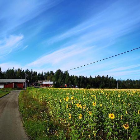 Maatilamatkailu Ilomaeki Seinäjoki Esterno foto