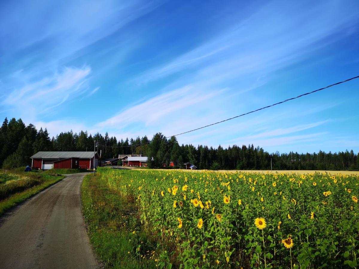 Maatilamatkailu Ilomaeki Seinäjoki Esterno foto