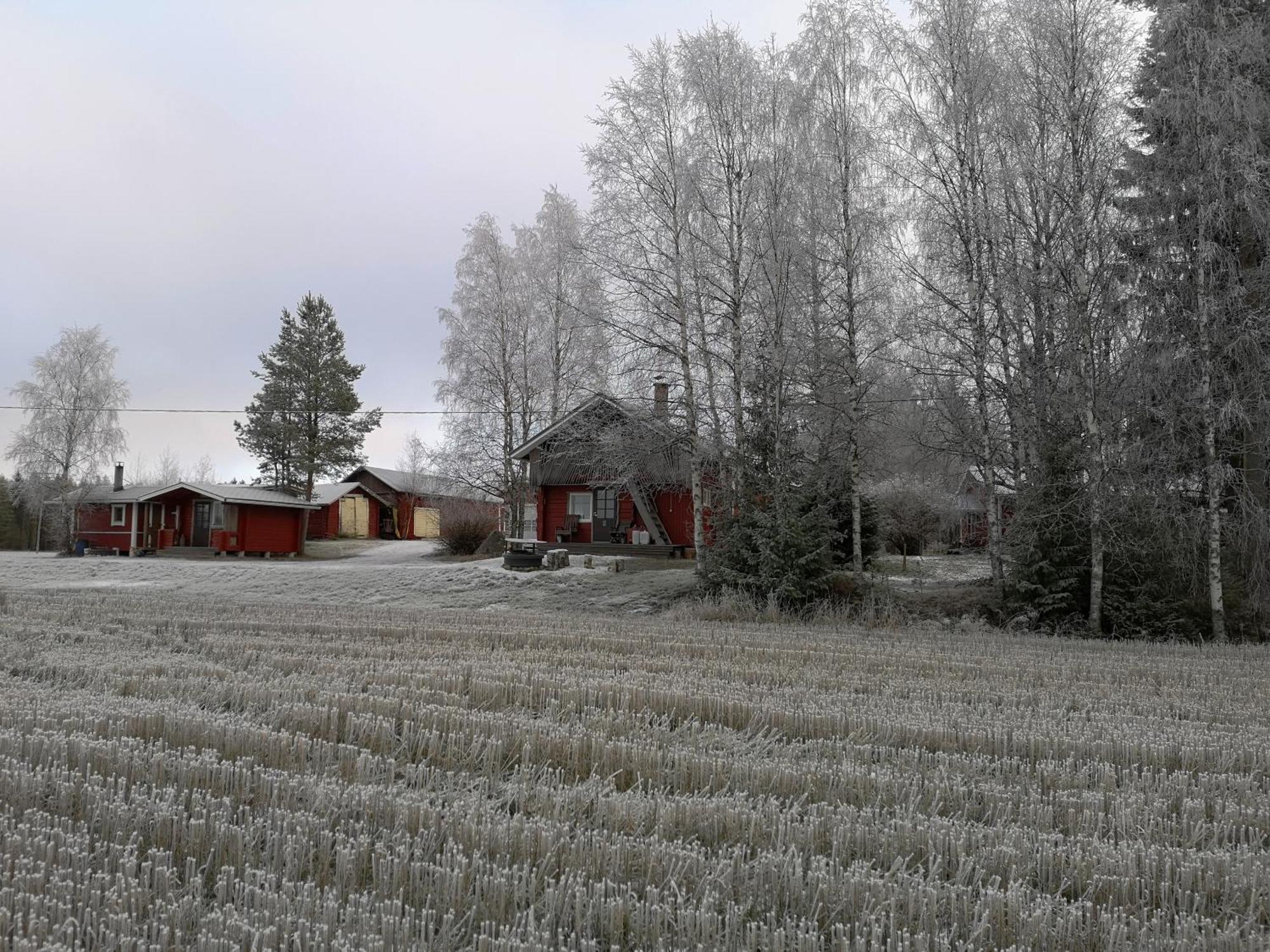 Maatilamatkailu Ilomaeki Seinäjoki Camera foto