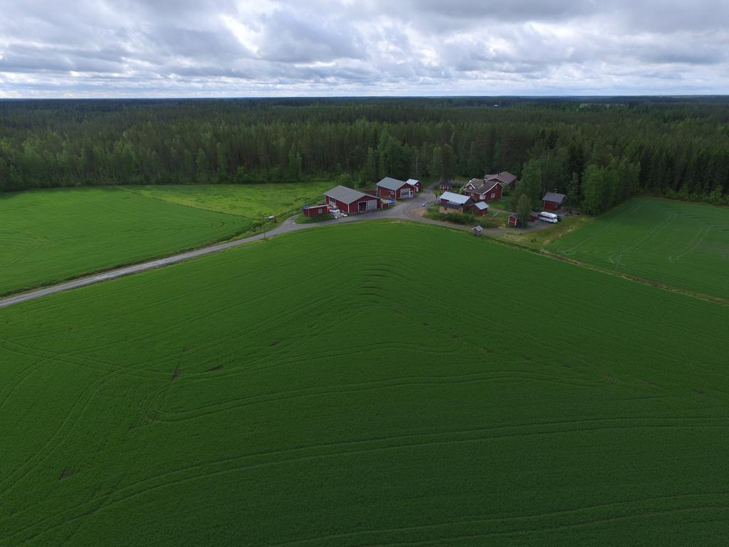 Maatilamatkailu Ilomaeki Seinäjoki Esterno foto