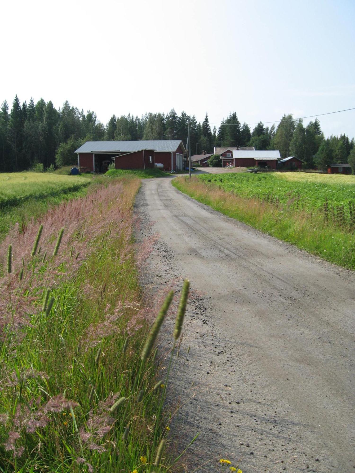 Maatilamatkailu Ilomaeki Seinäjoki Esterno foto