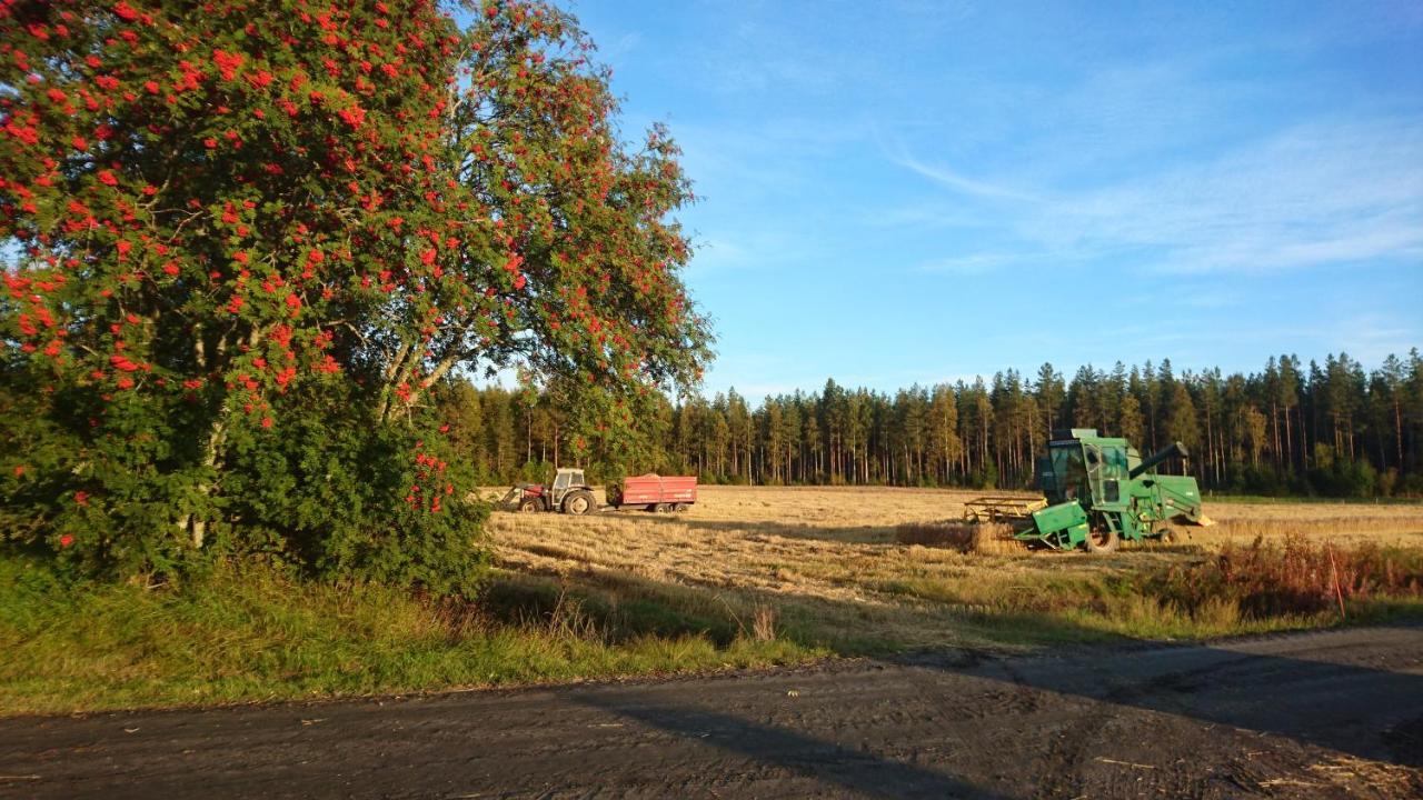 Maatilamatkailu Ilomaeki Seinäjoki Esterno foto