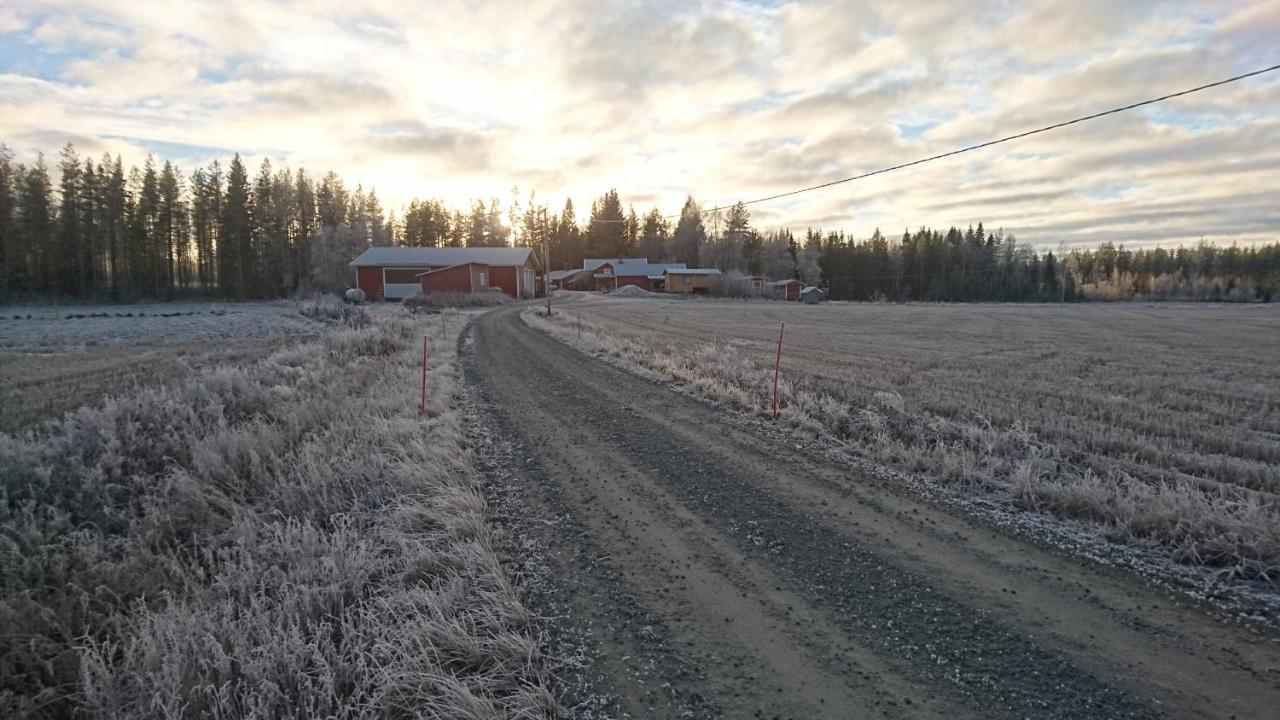 Maatilamatkailu Ilomaeki Seinäjoki Esterno foto
