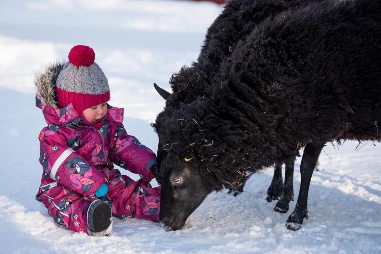 Maatilamatkailu Ilomaeki Seinäjoki Esterno foto