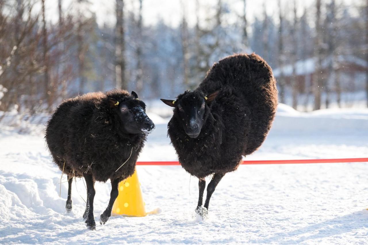 Maatilamatkailu Ilomaeki Seinäjoki Esterno foto