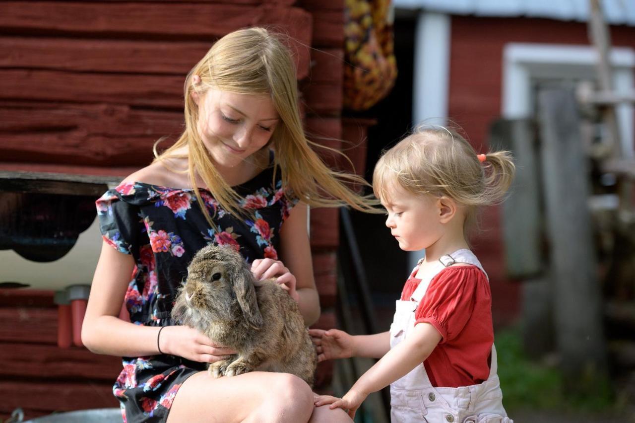 Maatilamatkailu Ilomaeki Seinäjoki Esterno foto